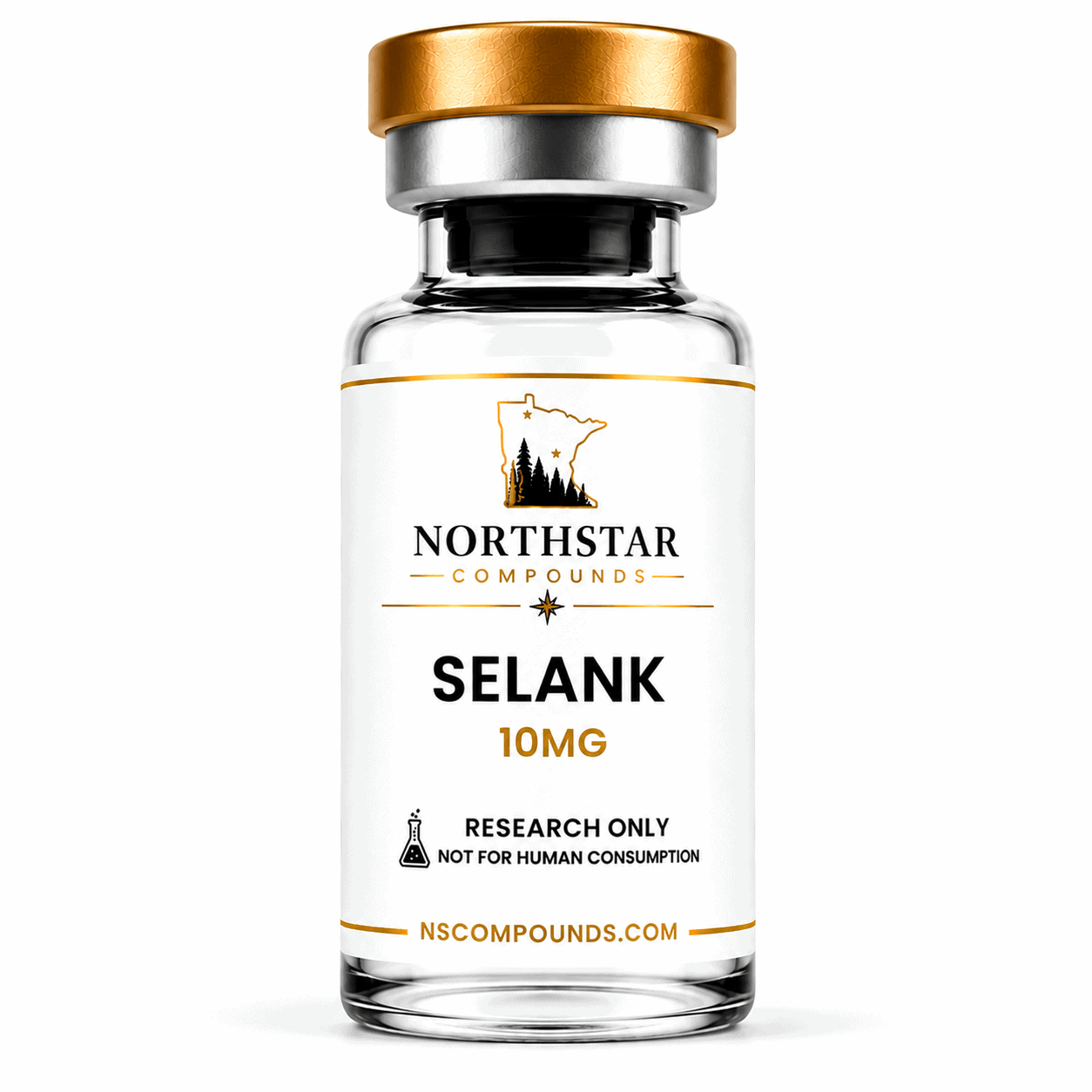 selank (1) selank (1)