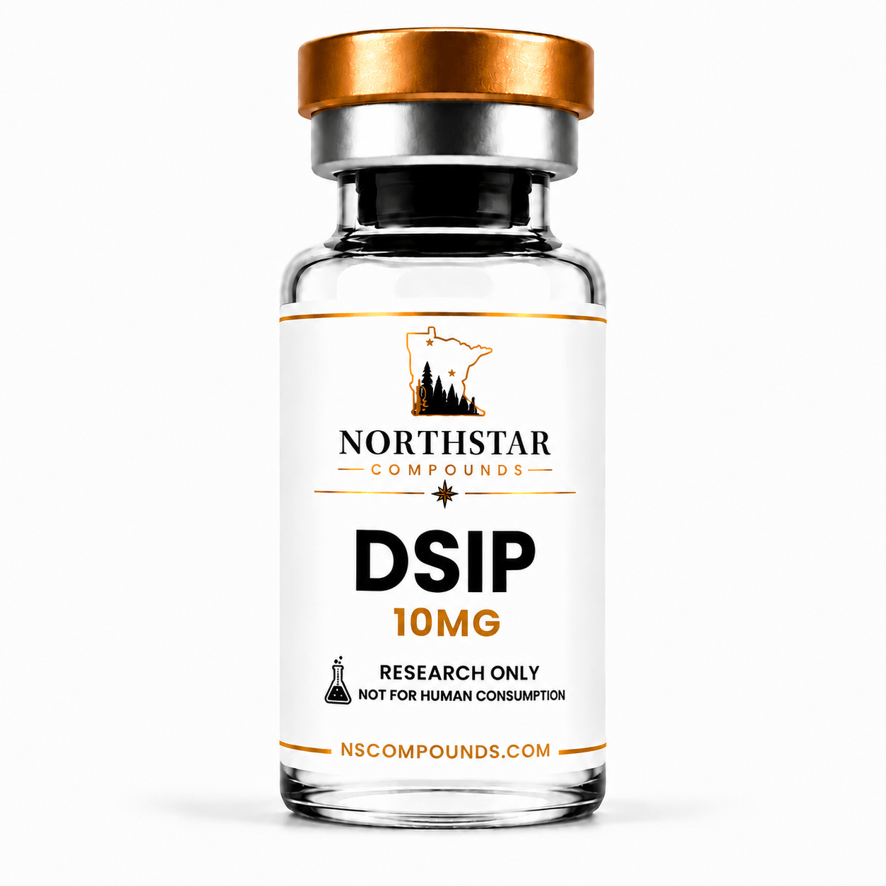 DSIP 10 DSIP
